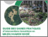 [thumbnail of Agence forestière des Bois-Francs_2021_Guide-milieu-humide_Final_A.pdf]