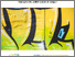 [thumbnail of Paquin et al_2023_cadre conceptuel_ loisir culturel_A (1).pdf]