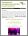 [thumbnail of SADC de la MRC de Maskinongé_2016_Événements écoresponsables_A.pdf]