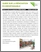 [thumbnail of SADC de la MRC de Maskinongé_2016_Rénovation écoresponsable_A.pdf]