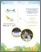 [thumbnail of ROBVQ_2014_Dard de sable_fouille-roche-gris,_mené-d'herbe_A .pdf]