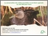 [thumbnail of Michaud_2016_Eau_agriculture_St-Barthélemy_A.pdf]