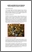 [thumbnail of Laroche_2008_Aménagement_faunique_poisson_A.pdf]