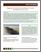 [thumbnail of MAPAQ_2008_Diagnostic_érosion_berges_A.pdf]