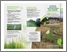[thumbnail of MRC La Haute-Yamaska_Plans_aménagement_bandes_riveraines_A.pdf]