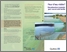 [thumbnail of MSSS_Précautions_fleur_eau_A.pdf]