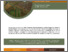 [thumbnail of Ruiz_2020_Projet rech. producteurs_A.pdf]