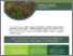 [thumbnail of Ruiz_2020_Projet de recherche conseillers_A.pdf]