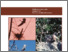 [thumbnail of DesGranges & Desrosiers_2006_Grands_Hérons_A.pdf]