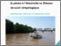 [thumbnail of Morissette et al_2021_RA_peche_electricite_RSI_A.pdf]