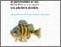 [thumbnail of RA_Modelisation_Moratoire-Perchaude_2021_A.pdf]