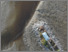 [thumbnail of Laboratoire de Géosciences Marines_Bulletin no 3_Erosion_ULaval_2021_A.pdf]