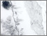 [thumbnail of Laboratoire de Géosciences Marines_2022_Bulletin no 4_Erosion_ULaval_A.pdf]