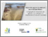 [thumbnail of Campeau S_2022_ Réduire_ sédiments vers_ lac Saint-Pierre_A.pdf]