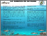 [thumbnail of AFC_2022_Projet mise en valeur_espèces_méconnues _LSP.pdf]