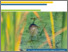 [thumbnail of PortraitTourismeDuable-RMBLSP_DDAC_2023-2024-VF_A.pdf]