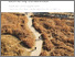 [thumbnail of IUCN_2025_Biodiversity_conservation_A.pdf]