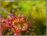 [thumbnail of MELCCFP_2025_guide-identif-dellimit-milieux-humides _A.pdf]