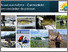 [thumbnail of Allard_2025_aménagements_circulation_poisson_A.pdf]