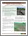 [thumbnail of AAC_2007_Solutions_érosion_champ_A.pdf]