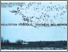 [thumbnail of Morasse et al_1983_plan directeur_consultation_11_A.pdf]
