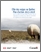 [thumbnail of Anonyme_2013_Oie des neiges_Plan d’action 2013-2018.pdf]