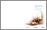 [thumbnail of Bélanger_Lefebvre _2005_.oie des neiges_plan d'action 2005-2010_A.pdf]