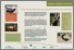 [thumbnail of Préville_2010_affiche_herpetofaune_l’île Saint-Bernard_A.pdf]