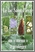 [thumbnail of Comité ZIP lac Saint-Pierre_menu_A.pdf]