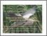 [thumbnail of Marchand_Barabé_2007_CSRBLSP_Forum_Excursions nautiques guidées_A.pdf]