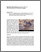 [thumbnail of Brousseau et Lepage_2009_Sarcelle_ailes_bleues_A.pdf]