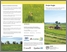 [thumbnail of SCIRBI_2015_Dépliant_oiseaux_des_prairies_A.pdf]