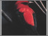 [thumbnail of Bourgeois_1994_halte_migratoire_sauvagine_31_A.pdf]